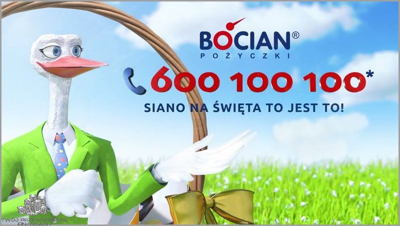 Bocian Pożyczki - Skontaktuj się teraz!