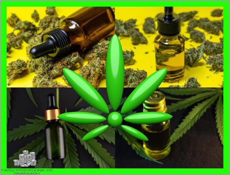 Forum: Olej Cbd - Pytania i Odpowiedzi!