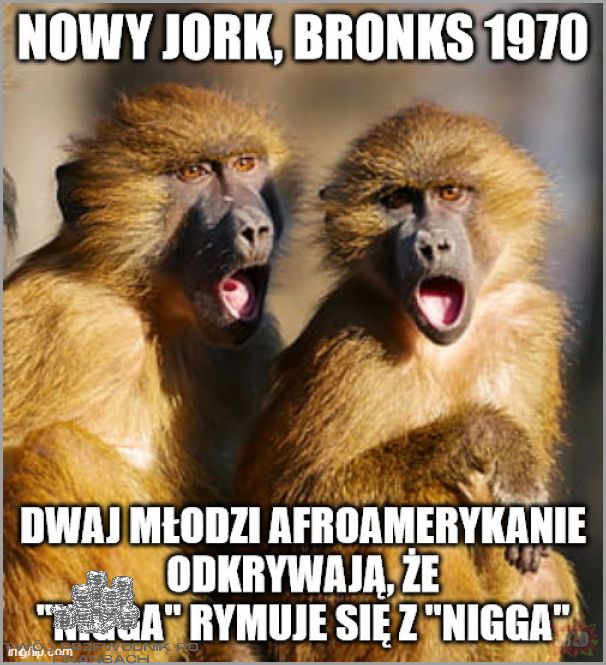 Hasło 1 Millenium: Przełomowe odkrycie!