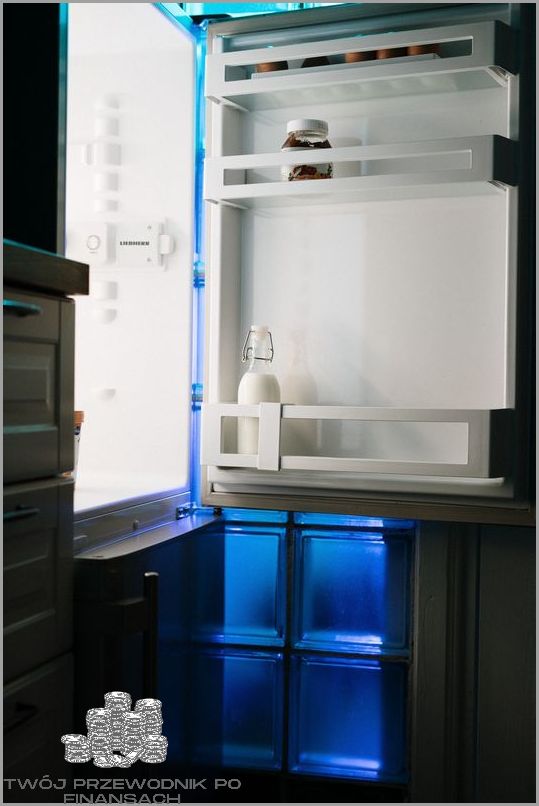 Ile Prądu Zużywa Twoja Stara Lodówka?!