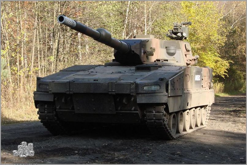 Jakie Czołgi Ma Polska? Przekonaj Się!