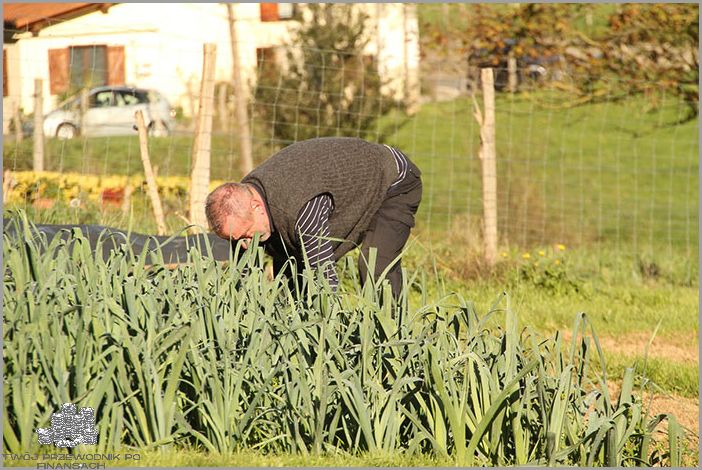 Kiedy Dopłaty Dla Rolników? Odpowiadamy!