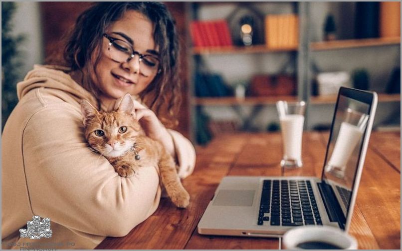 Klucz do sukcesu - Praca Zdalna Dla Studenta.