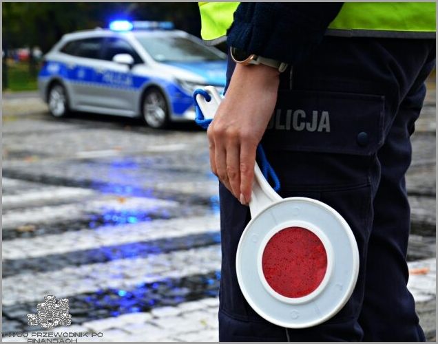 Kradzież Do 100 Zł - Co Grozi?