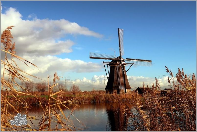 Krok Po Kroku: Rozliczenie Podatku Z Holandii W Polsce!