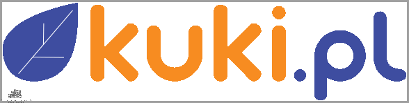 Kuki. Pl - rewolucja w marketingu!