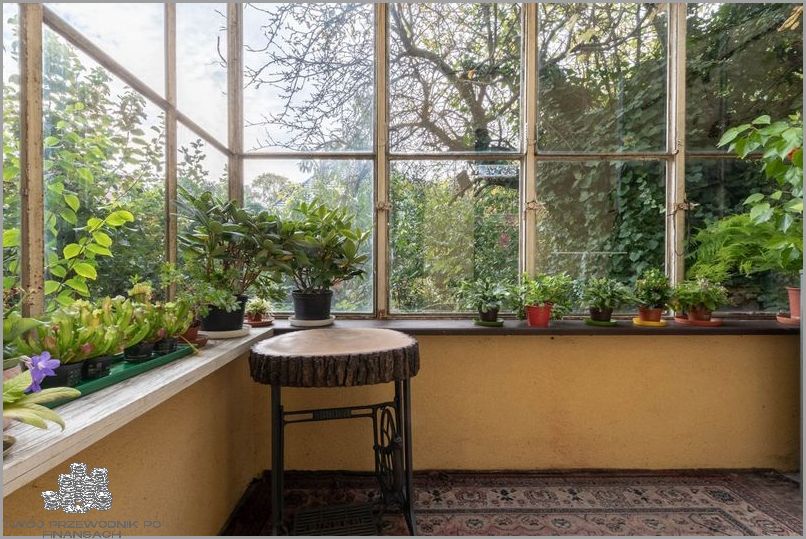 Kupić Dom Na Sprzedaż w Strzelinie?