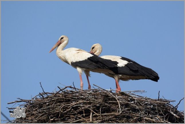 Oglądaj Kijów na żywo - Kamera na żywo!