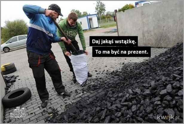 Opinie o Węglu z Bogdanki: Co Sądzą Internauci?