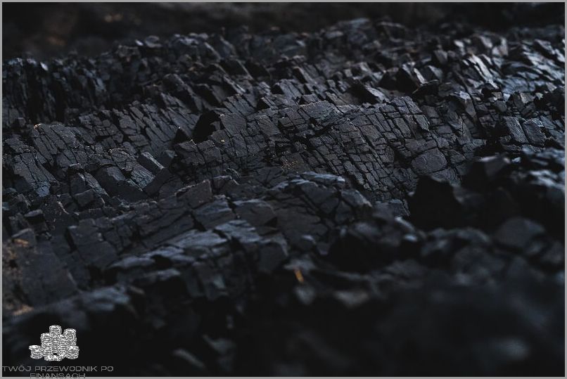 Opinie o Węglu z Bogdanki: Co Sądzą Internauci?