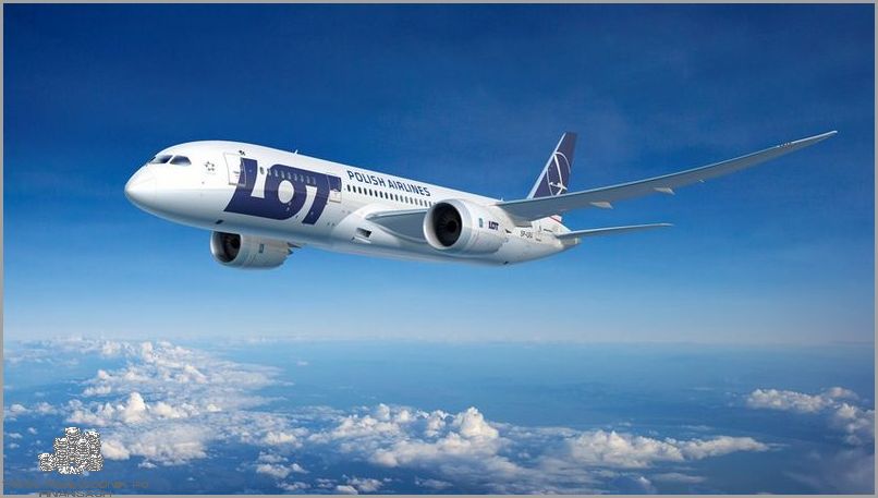 Otrzymaj Odszkodowanie Za Odwołany Lot Wizzair!