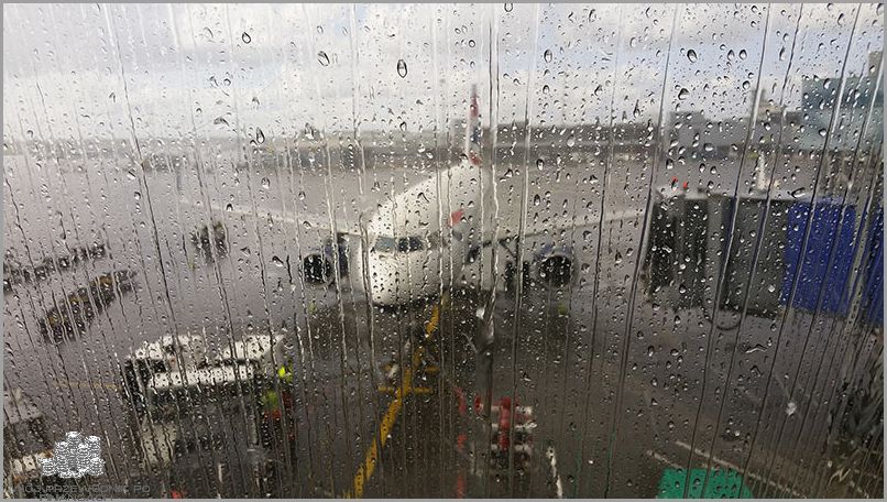 Otrzymaj Odszkodowanie Za Odwołany Lot Wizzair!