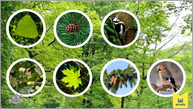 Pit 2: O co chodzi? Rozwiąż tajemnicę!