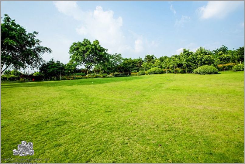 Podatek Od Spadku Po Rodzicach - Ile Wy Zapłacicie?