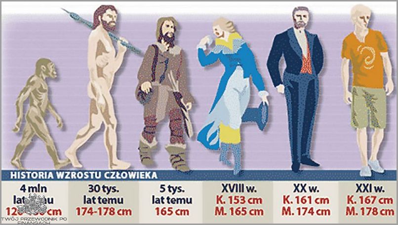 Porównanie Wzrostu Dwóch Osób: Wizualizacja!