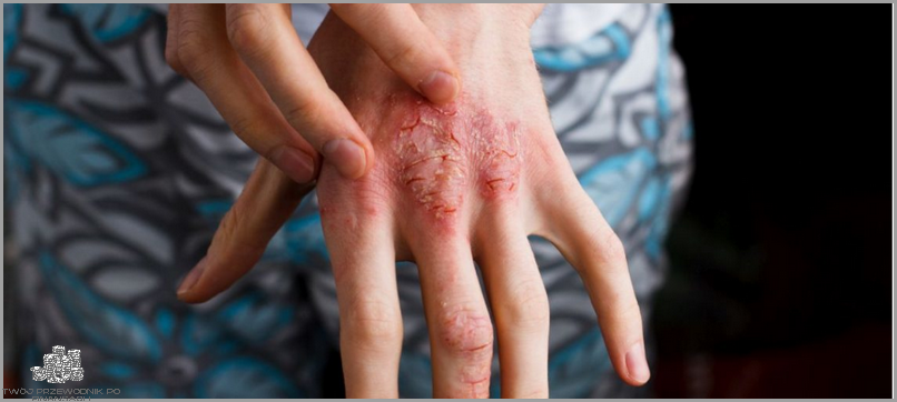 Przelicznik Euro Na Dolary - Tu Znajdziesz Odpowiedź!