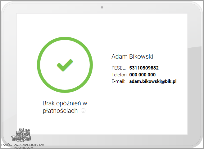 Raport Bik Plus: dlaczego to tak ważne?