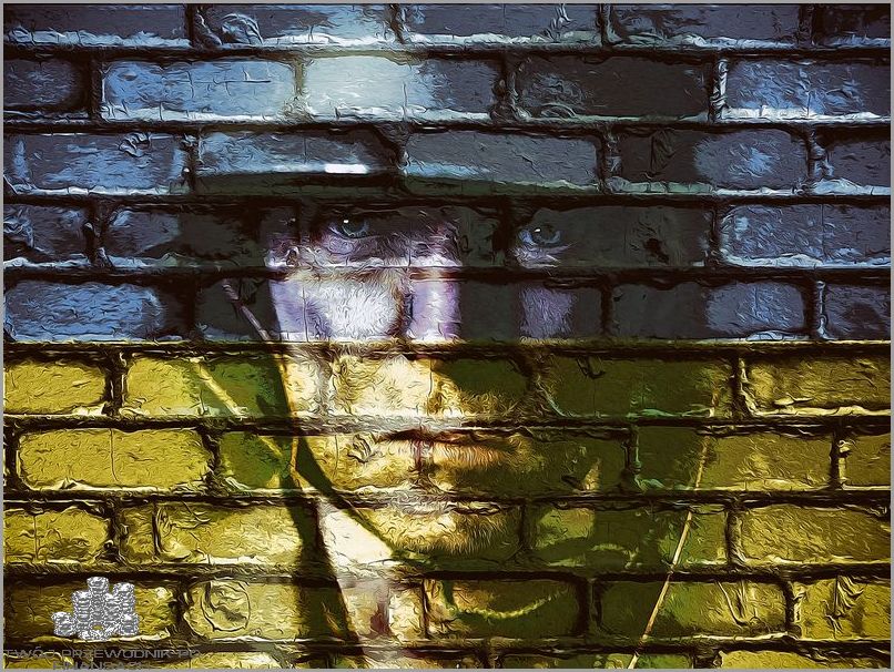 Wojna na Ukrainie? Izrael włącza się!