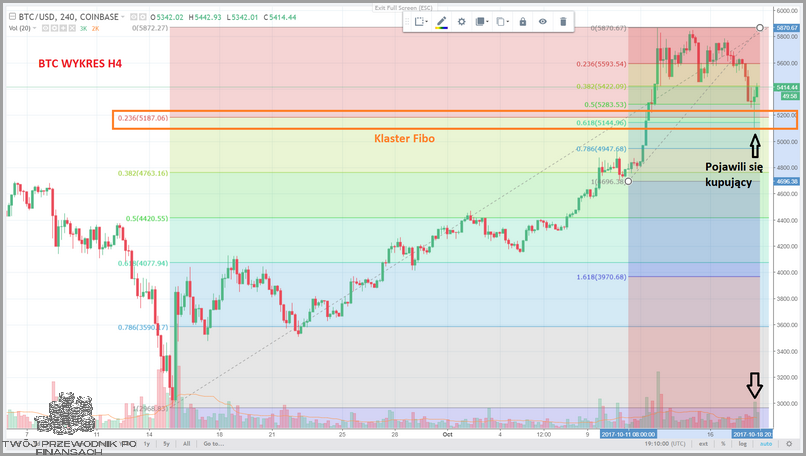 Wykres Bitcoin Od 2009: Przerażająca Prawda!
