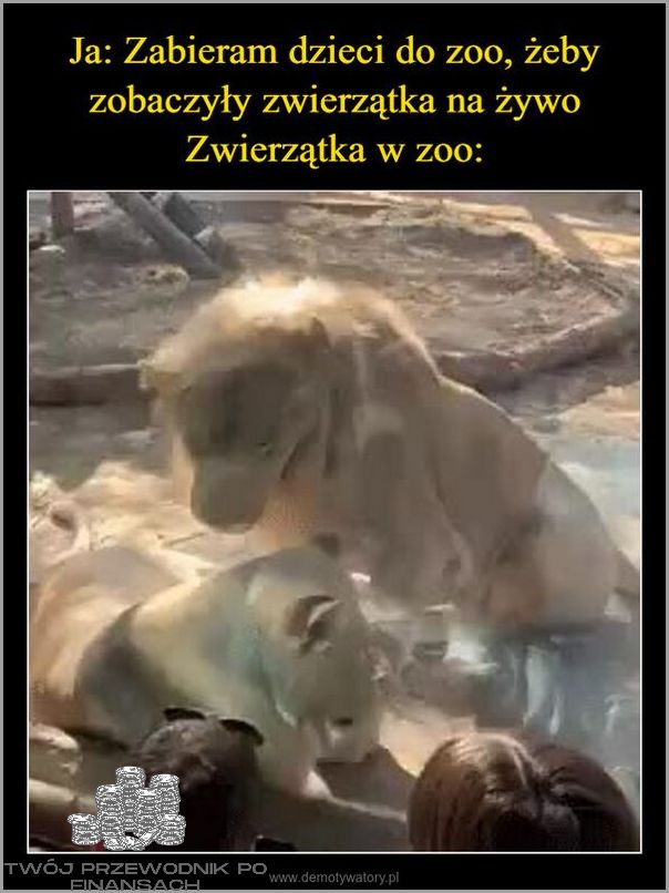 Zabieram Ci Urlop - Biore Urlop Od Ciebie!