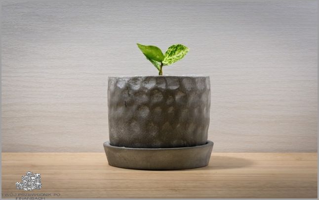 Zastanawiasz się, co to jest Spółka Cywilna?