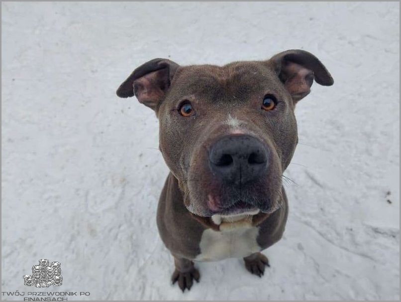 Znamy Kod Pocztowy Czerwionki Leszczyn!