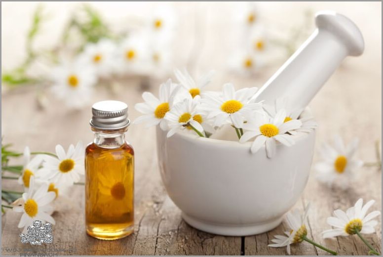 Czy Można Pić Rumianek Codziennie? Sprawdź!