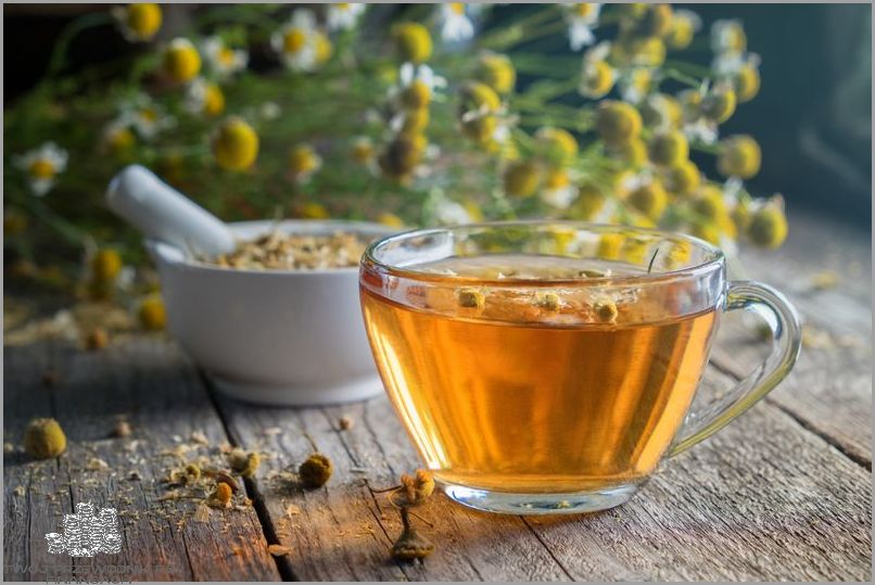 Czy Można Pić Rumianek Codziennie? Sprawdź!