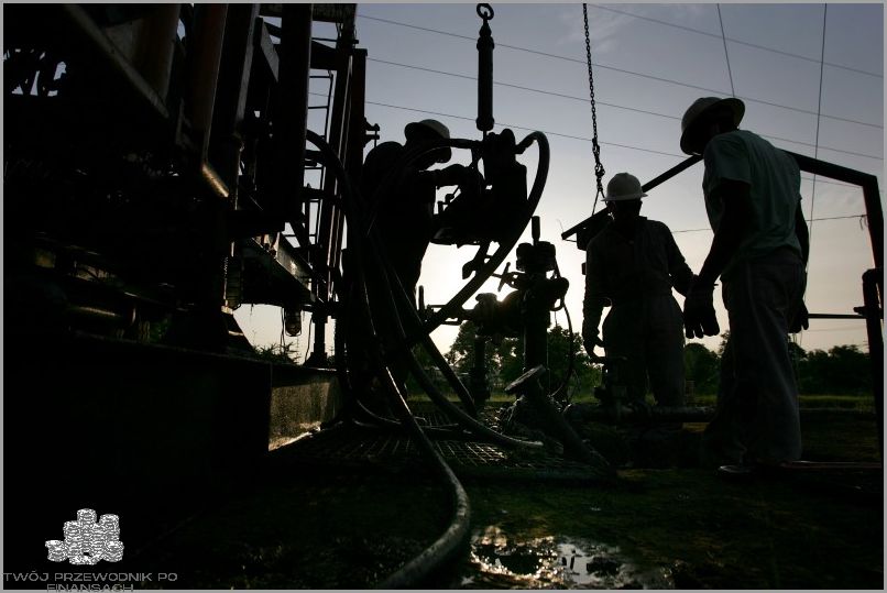 Dlaczego Diesel jest droższy od Benzyny?