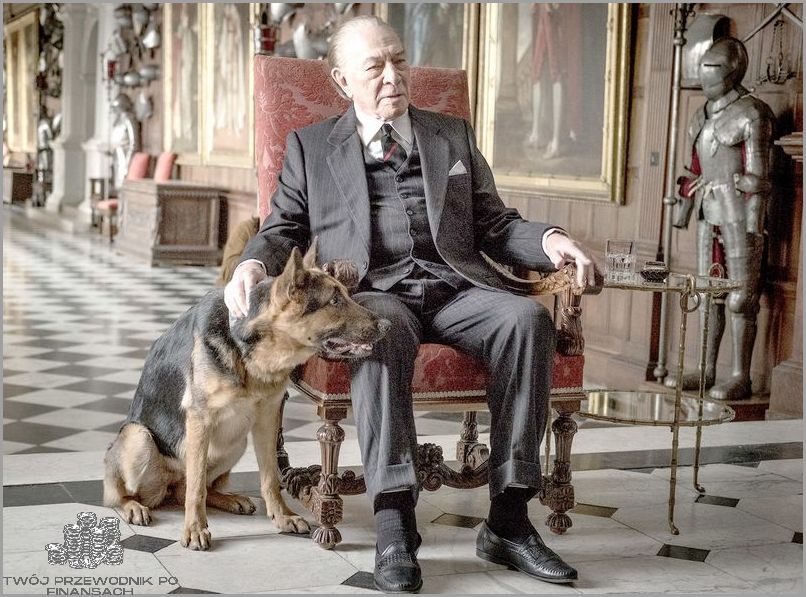 Filmy O Bogatych Ludziach: Dowiedz się więcej!