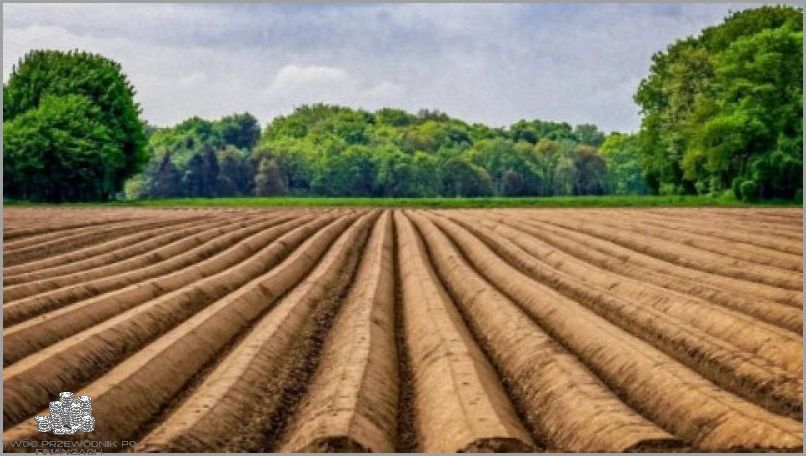 Fortum Energia Oszuści: To może Cię zaskoczyć!