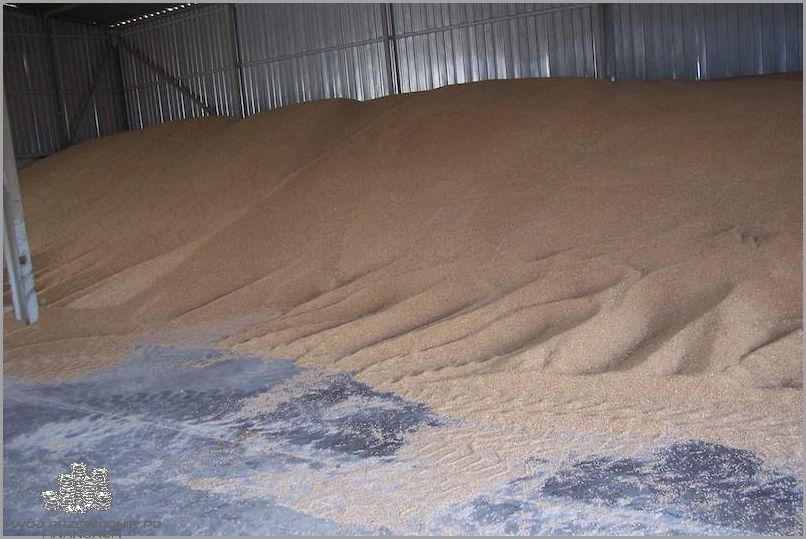 Gdzie Zgłosić Niewywiązanie Się Z Umowy?!