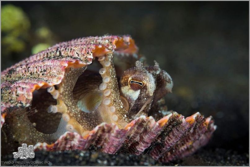 Góry W Środkowej Azji - Tajemnice Skrywane Wśród Wierzchołków.