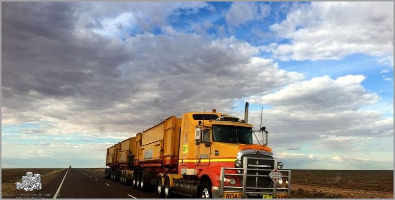 Ile Zarabia Kierowca Tira? Sprawdź Szybko!