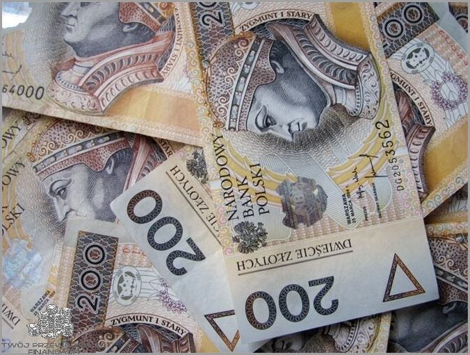 Influencerzy W Polsce - Kto zarabia najwięcej?