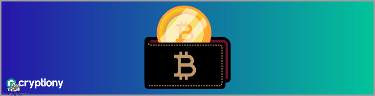 Jaki Portfel Do Kryptowalut? Dowiedz się!