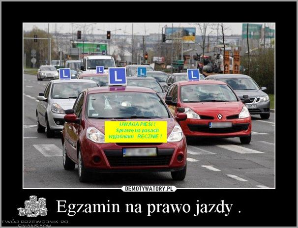 Już Nadszedł Czas! Egzamin Na Prawo Jazdy
