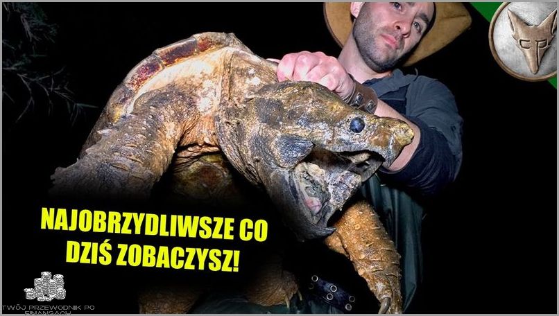Kto Ma Broń Atomową? Przerażająca Prawda!