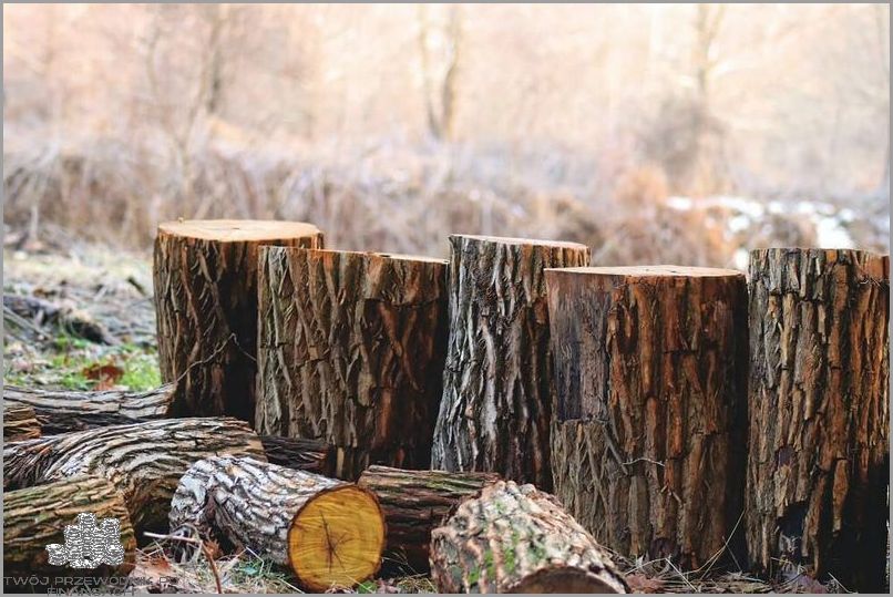 Kubik - Ile To M3? Zaskakująca Odpowiedź! Kubik - Ile To M3? Zaskakująca Odpowiedź!