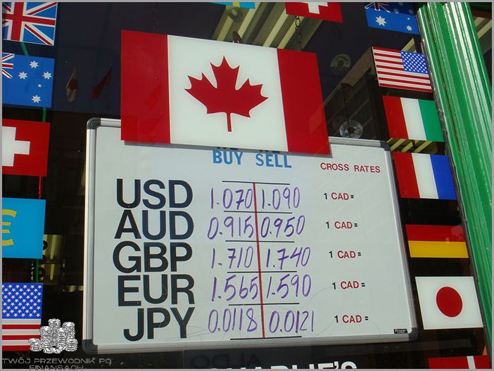 Kursy Walut W Czasie Rzeczywistym - Sprawdź Teraz!