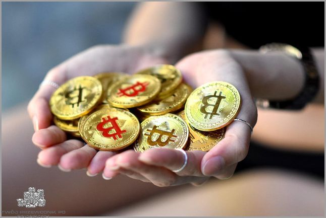Najbardziej Oplacalne Kryptowaluty - Sprawdź! Najbardziej Oplacalne Kryptowaluty - Sprawdź!