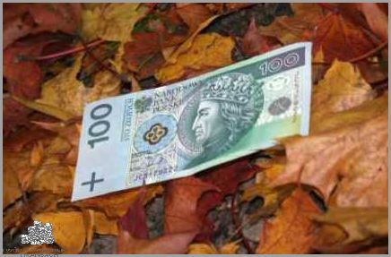 Najlepsze Lokaty w Rankomacie - Sprawdź!