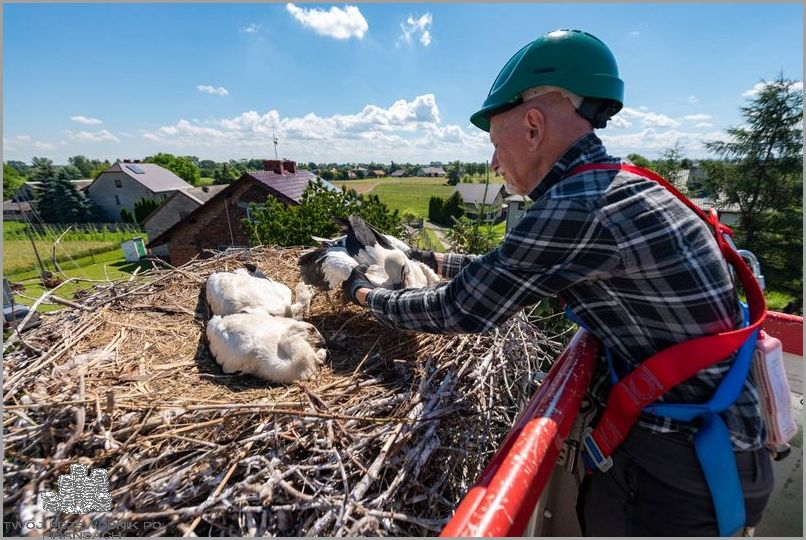 Przegapisz to! Info@tauron-dystrybucja.pl