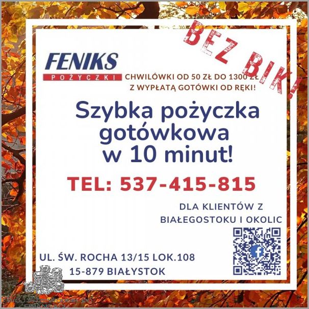 Szybka Pożyczka Na Dowód Do Ręki - Teraz!