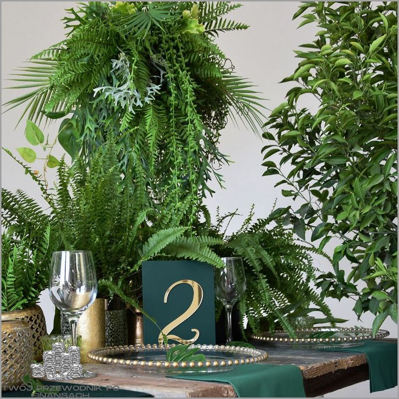 Ujawniamy Tajemniczy Bik Numer Telefonu!