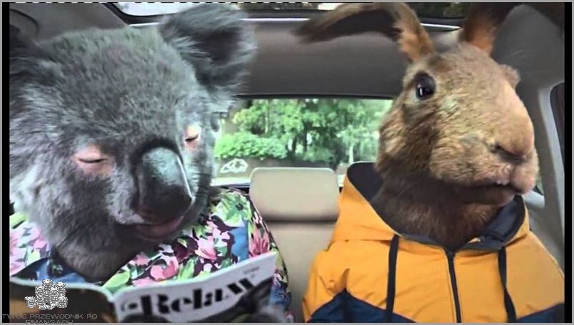 Vivus Pożyczka Online: Nowa Szybka Możliwość!