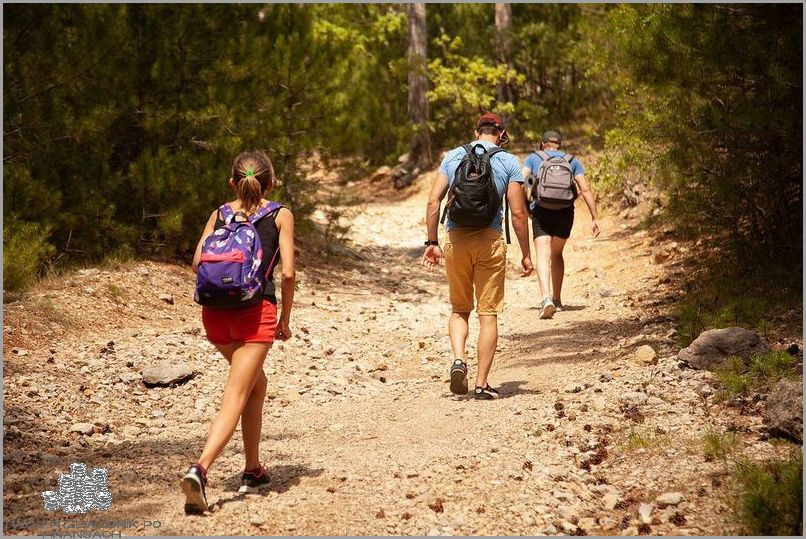 Za Co Można Płacić Bonem Turystycznym? Sprawdź!