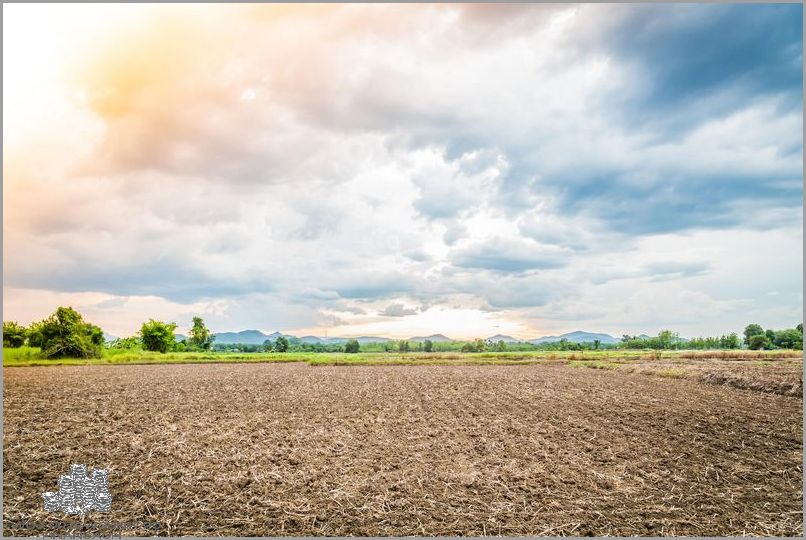 Zgłoś się Teraz Na Dom Na Działce Rolnej!