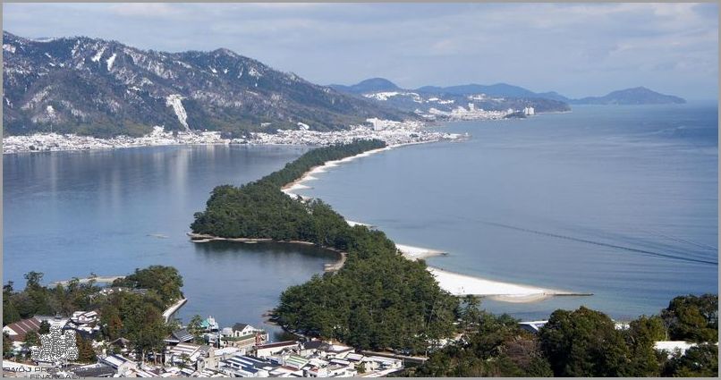 Ankieta: Oszczędzanie Energii - Zaskakujące Wyniki!