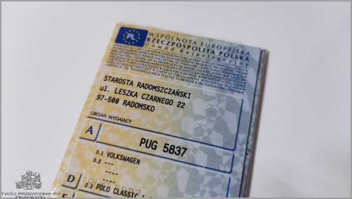 Deklaracja PCC-3: Wszystkiego, co trzeba wiedzieć!